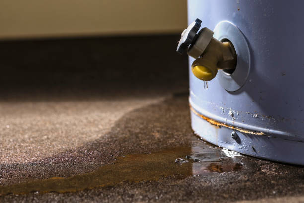 Best Flood damage cleanup  in Dubach, LA
