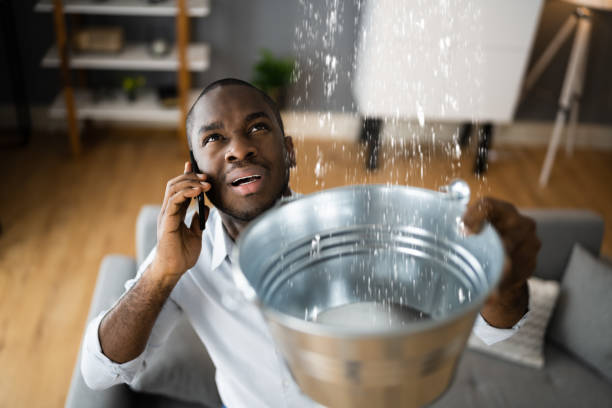 Best Mold removal after water damage  in Dubach, LA