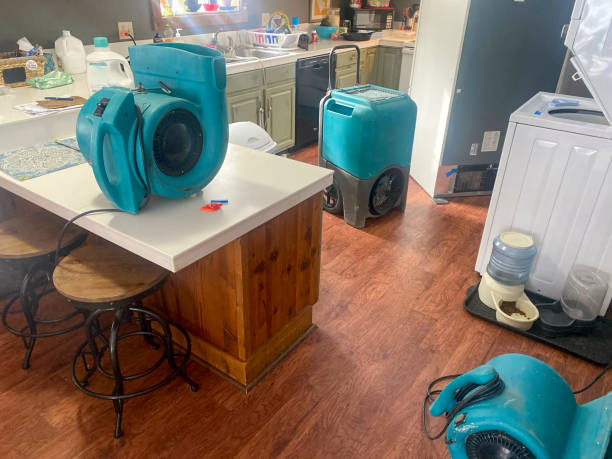 Best Water damage restoration near me  in Dubach, LA