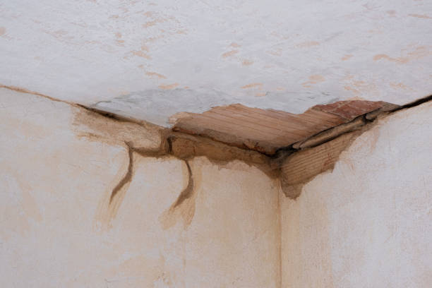 Best Mold removal after water damage  in Dubach, LA