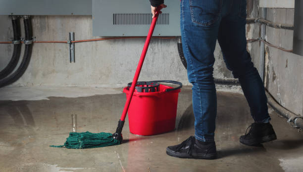 Best Basement water damage restoration  in Dubach, LA